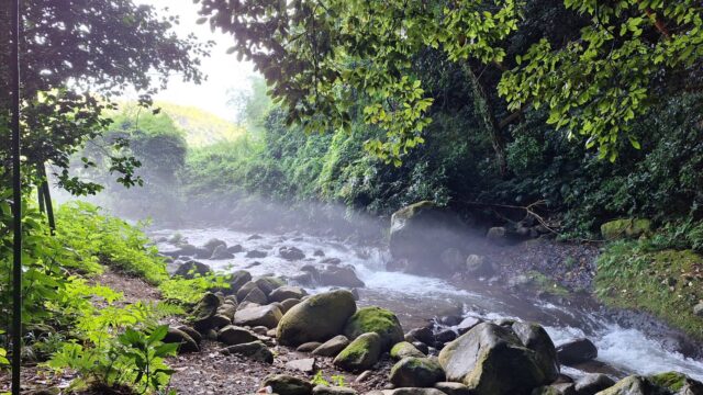 三島市瀧川神社の境内を流れる山田川